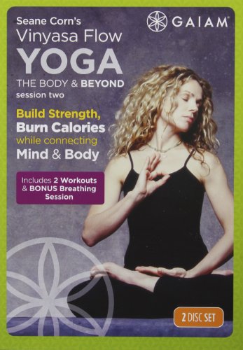 2PK: SESSION 2: VINYASA FLOW Y [IMPORT] For Sale